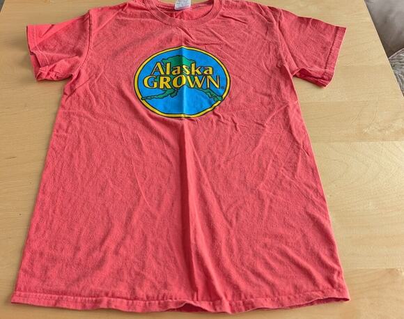 Gildan Tops - 🏖️Women's Small Gildan Tee